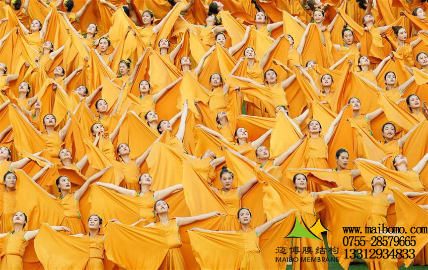 邁博集團深圳公司恭賀寧夏回族自治區(qū)成立60周年