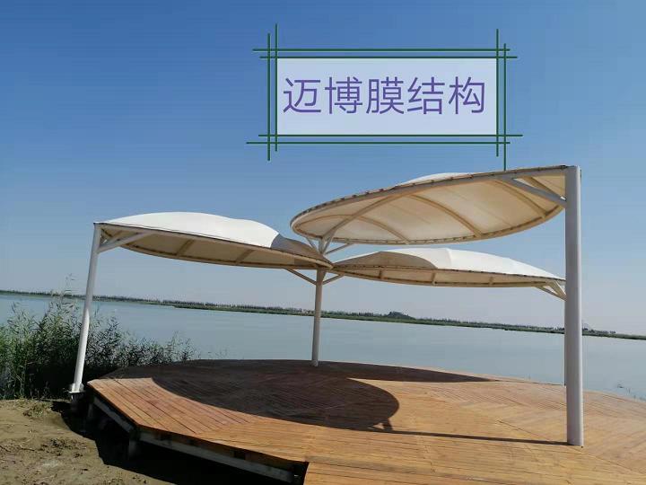 沙湖中的綠葉，邁博沙湖小島樹葉膜結構項目工程
